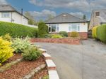 Thumbnail for sale in Derby Road, Wingerworth