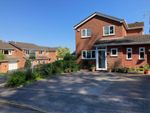 Thumbnail to rent in Sherwood Drive, Exmouth
