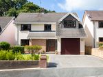 Thumbnail for sale in Oakwood Grove, Haverfordwest, Pembrokeshire