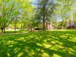 Thumbnail for sale in Lily Close, St Pauls Court, London