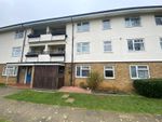 Thumbnail for sale in Buckthorn Avenue, Stevenage, Hertfordshire