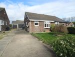 Thumbnail to rent in Willowbank, Coulby Newham, Middlesbrough, North Yorkshire