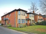 Thumbnail to rent in Claremont Avenue, Woking, Surrey