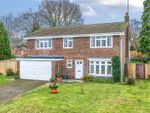 Thumbnail to rent in The Ridings, Liss, Hampshire