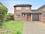 Thumbnail for sale in Puffin Crescent, Stubbington, Fareham