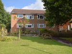 Thumbnail to rent in Lime Grove, Alton