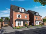 Thumbnail to rent in "The Willow" at Park View, Corby