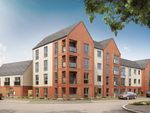 Thumbnail to rent in "Amble" at Vespasian Road, Milton Keynes