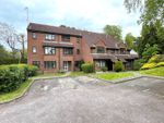 Thumbnail to rent in Gordon Road, Camberley, Surrey