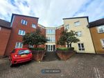 Thumbnail to rent in Horfield, Bristol