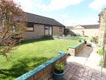 Thumbnail for sale in Jasmine Close, Crewkerne