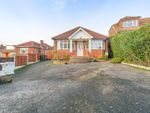 Thumbnail to rent in Ochiltree Road, Hastings