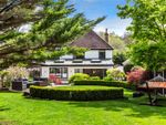 Thumbnail for sale in Dorking Road, Gomshall, Guildford, Surrey