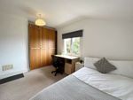 Thumbnail to rent in Freshfield Road, Brighton