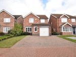 Thumbnail to rent in Ennerdale Lane, Scunthorpe