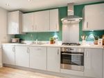 Thumbnail to rent in "Norbury" at Sandys Moor, Wiveliscombe, Taunton