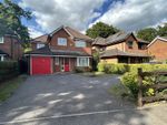 Thumbnail for sale in Fleet Road, Farnborough, Hampshire