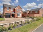 Thumbnail for sale in Cornflower Close, Hambleton, Selby
