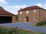 Thumbnail for sale in Walnut Close, Sutton St. James, Spalding, Lincolnshire