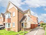 Thumbnail to rent in Campion Road, Hatfield, Hertfordshire