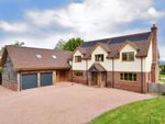 Thumbnail to rent in Harewood End, Hereford