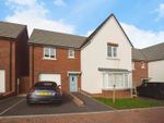 Thumbnail to rent in Wheat Belt Rise, Exeter