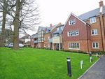 Thumbnail to rent in Addington Road, Sanderstead, Surrey