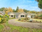 Thumbnail for sale in Pineheath Road, High Kelling, Holt