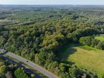 Thumbnail to rent in Land, Conford, Liphook