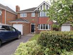 Thumbnail to rent in Hazel Grove, Bexhill-On-Sea