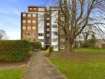 Thumbnail for sale in Hangleton Road, Hove