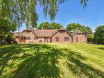 Thumbnail for sale in Field Farm Lane, Colemore, Alton, Hampshire