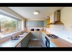 Thumbnail to rent in Roebuck Road, Sheffield