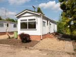 Thumbnail to rent in Sutton Lane, Sutton Scarsdale, Chesterfield