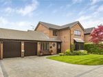 Thumbnail for sale in Chedburgh, Welwyn Garden City, Hertfordshire
