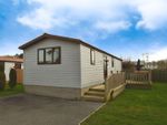 Thumbnail to rent in Hull Road, Wilberfoss, York