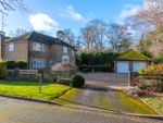 Thumbnail for sale in Phoenix Court, Hartley Wintney, Hook, Hampshire