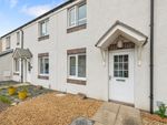 Thumbnail for sale in Rose Hip Crescent, Larbert