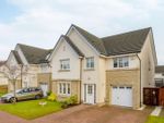 Thumbnail for sale in Drover Round, Larbert
