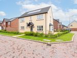 Thumbnail for sale in Bluebell Way, Dumfries