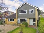 Thumbnail to rent in New Park Road, Cranleigh