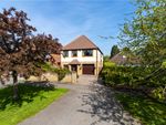 Thumbnail for sale in Ragged Hall Lane, Chiswell Green, St.Albans
