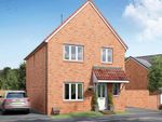 Thumbnail to rent in "Alfriston" at Parklands, South Molton