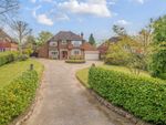 Thumbnail for sale in Upperfield, Easebourne