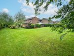 Thumbnail for sale in The Grange, Newton Aycliffe