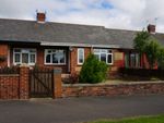 Thumbnail to rent in Coronation Cottages, Shotton Colliery, Durham, Durham
