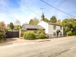 Thumbnail to rent in Grange Hill, Coggeshall, Essex