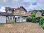 Thumbnail to rent in Fontwell Avenue, Bexhill-On-Sea