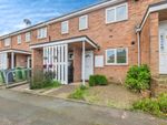 Thumbnail to rent in Chestnut Avenue, Exeter