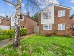 Thumbnail for sale in Royle Close, Chalfont St Peter, Buckinghamshire